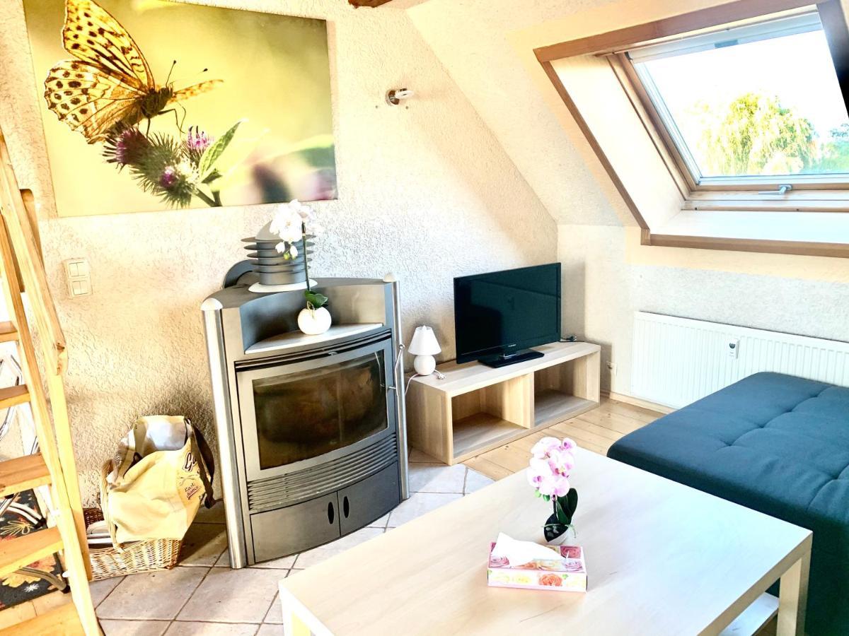 #World Ferienwohnung Schkeuditz Exterior photo